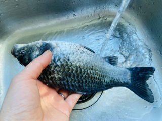 1、鲫鱼萝卜丝汤,活鲫鱼刮鳞去腮掏出内脏清洗干净