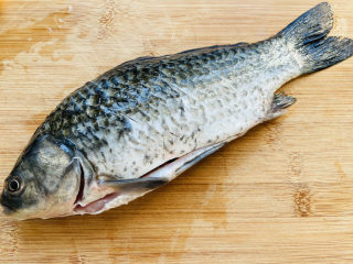 2、鲫鱼萝卜丝汤,沥干水分在鱼身两面各划三刀