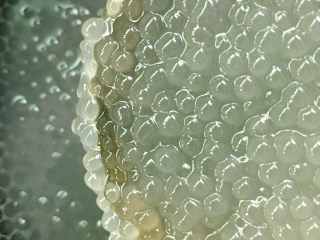 10、芋头西米露,西米舀入锅中