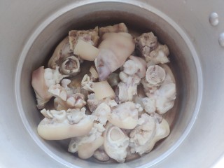 12、莲藕猪蹄汤,控干水分之后放入高压锅