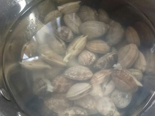 6、冬瓜蛤蜊汤,烧一壶开水烫过清洗的花甲备用