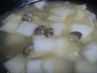 14、冬瓜蛤蜊汤,3小饭碗水至盖过食材