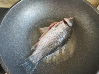 8、冬瓜鲫鱼汤,油热下入鲫鱼中小火煎至一面定型