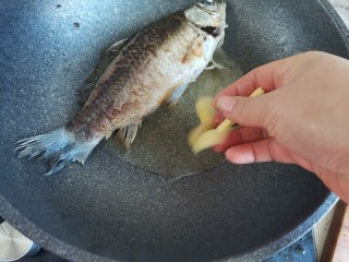 10、冬瓜鲫鱼汤,煎至两面都金黄微焦，下入姜片