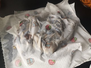 3、虫草花乌鸡汤,用专用毛巾或厨房吸水纸挤出水份吸干