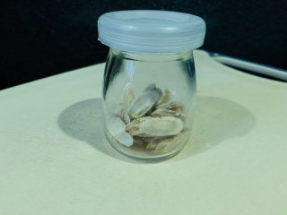 5、当归黄芪乌鸡汤,黄芪取出,平时可以装在玻璃罐放冷藏;