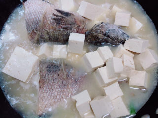 15、黑鱼豆腐汤,翻面继续炖煮约二十分钟，放入豆腐块儿。