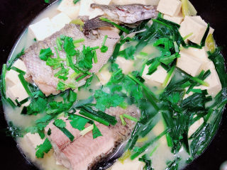 19、黑鱼豆腐汤,入味后，关火撒上香菜末即可出锅了！