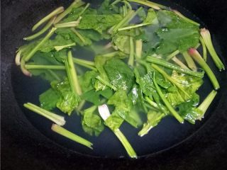 10、菠菜拌粉条,放入菠菜焯水，捞出；