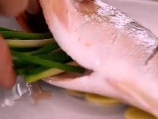 3、清蒸鲈鱼——蒸鱼好吃又不腥的小秘密都在这里了,腌制10分钟后，将鱼置于姜片上，腹中塞入葱段