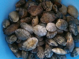 1、香辣花甲,花甲先冲洗下，再放入适量盐