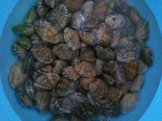 2、香辣花甲,加水泡着，让花甲吐沙