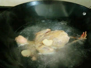 4、滋补鸽子汤,锅内水烧开，加2片姜和一勺料酒，鸽子下锅焯水一下，去血水后捞出来。