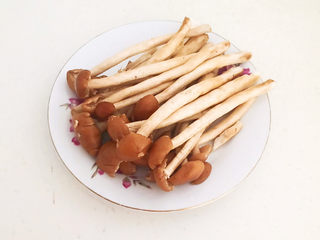 2、茶树菇排骨汤,把茶树菇用冷水清洗干净