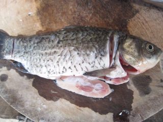 2、鲫鱼豆腐汤,鱼去除内脏洗净。在鱼头前和鱼尾各切一刀。