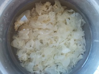 5、木瓜炖牛奶,小锅中加入入银耳，加入适量的水