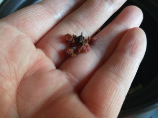 7、花生猪脚汤,花椒几粒。