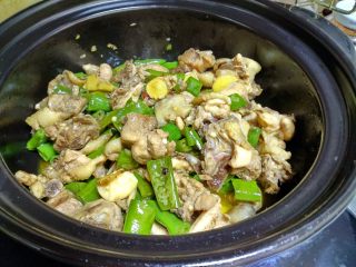 15、青椒鸡,炖10分钟翻一次锅，然后在炖10分钟。就可以出锅了。