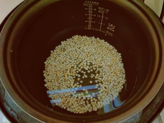 5、冬瓜薏米汤,泡好的薏米放入压力锅，选用煲汤功能。