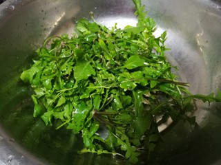 8、这碗粥山海结合，促进消化降血压，还可防癌呢,淘洗荠菜，荠菜山上挖来的，一定要多淘洗几遍