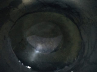 6、冬瓜鲫鱼汤,起油锅，可以放多一点油