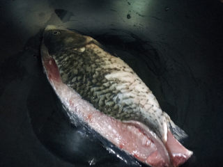 7、冬瓜鲫鱼汤,把鲫鱼先放进锅里煎一下