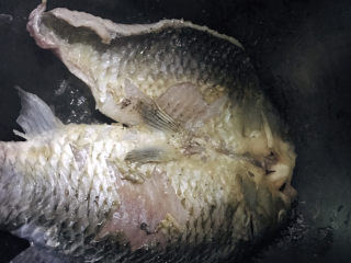 8、冬瓜鲫鱼汤,鱼肚也煎一下