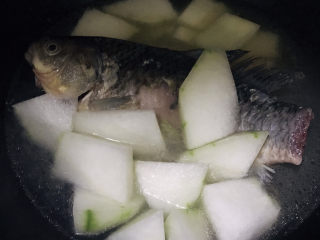 11、冬瓜鲫鱼汤,放入冬瓜块