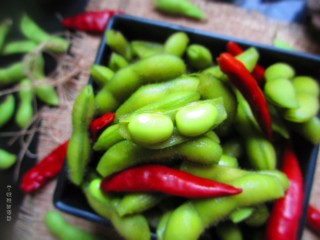 13、水煮毛豆,毛豆很有很好的维生素，营养又减肥的小零食