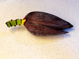 1、香蕉花排骨汤,香蕉花外貌，像未开放的荷花苞。