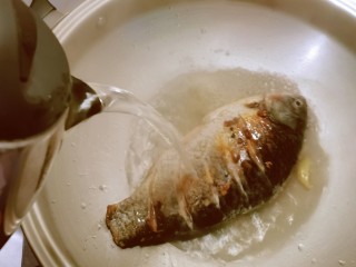 11、木瓜鲫鱼汤,注入开水熬煮