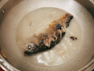 12、木瓜鲫鱼汤,熬煮至汤色奶白状