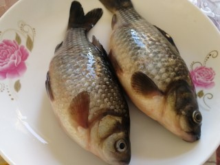 1、冬瓜鲫鱼汤,新鲜鲫鱼2条。