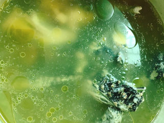 12、当归黄芪乌鸡汤,好了,放盐