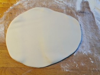 25、大馅馄饨~自己擀皮水打馅,擀成面片
