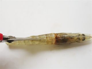 5、蒜蓉蒸虾,从尾部用剪刀剪到刚才刀切开的地方