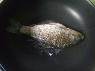 8、鲫鱼萝卜丝汤,放入鲫鱼，用小火慢慢煎至