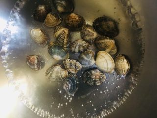 8、花蛤蒸蛋,放入花蛤