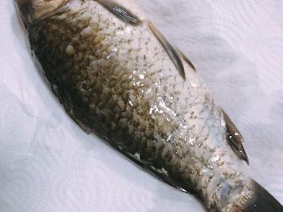 1、鲫鱼萝卜丝汤,鲫鱼洗干净用厨房纸吸干水