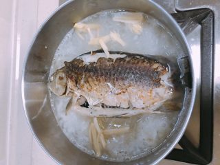 9、鲫鱼萝卜丝汤,下姜丝和鲫鱼，加入适量水