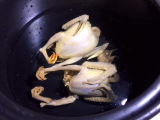 5、红枣枸杞乳鸽汤,乳鸽放入砂锅中，添适量清水