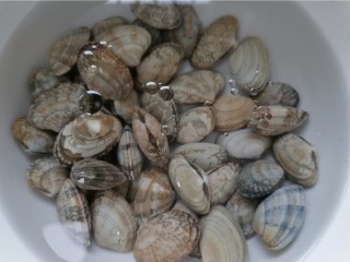 2、冬瓜蛤蜊汤,蛤蜊提前泡水放入适量油和盐让其吐沙