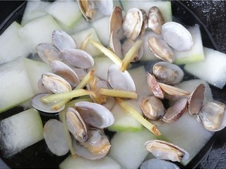 10、冬瓜蛤蜊汤,加入适量生姜去腥