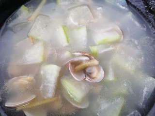 13、冬瓜蛤蜊汤,煮至冬瓜熟即可出锅