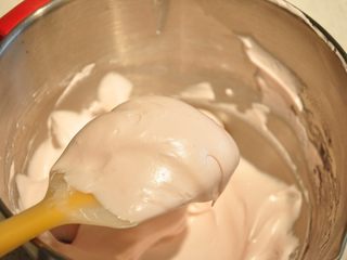 8、最受小朋友喜爱的多彩蛋白糖,混至没有干粉状，且呈光滑状态（不要过度混合以免消泡）。