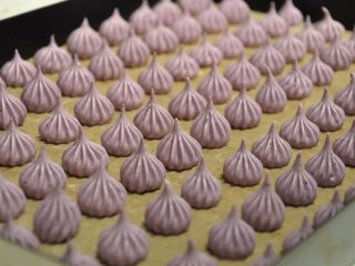 26、最受小朋友喜爱的多彩蛋白糖,均匀的挤在烤盘上，烤箱预热90度，上下火烤120分钟左右，至完全烤干。