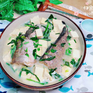 黑鱼豆腐汤