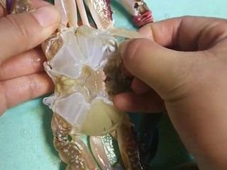 4、早餐海蟹海鲜粥,去其用水冲洗干净