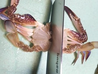 5、早餐海蟹海鲜粥,切成小块备用