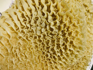 2、凉拌牛肚,牛肚洗净；